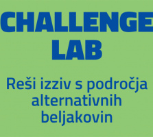 Challenge Lab